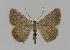  ( - BC EF Alc 00134)  @14 [ ] Copyright (2010) Unspecified Research Collection of Egbert Friedrich