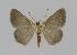  ( - BC EF Alc 00134)  @14 [ ] Copyright (2010) Unspecified Research Collection of Egbert Friedrich
