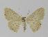  ( - BC EF Alc 00140)  @13 [ ] Copyright (2010) Unspecified Research Collection of Egbert Friedrich