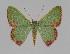 ( - BC EF Alc 00143)  @14 [ ] Copyright (2010) Unspecified Research Collection of Egbert Friedrich