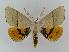  ( - BC EF Alc 00144)  @14 [ ] Copyright (2010) Unspecified Research Collection of Egbert Friedrich