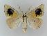  ( - BC EF Alc 00144)  @14 [ ] Copyright (2010) Unspecified Research Collection of Egbert Friedrich