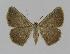  ( - BC EF Alc 00146)  @14 [ ] Copyright (2010) Unspecified Research Collection of Egbert Friedrich