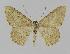  ( - BC EF Alc 00148)  @14 [ ] Copyright (2010) Unspecified Research Collection of Egbert Friedrich