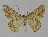  ( - BC EF Alc 00148)  @13 [ ] Copyright (2010) Unspecified Research Collection of Egbert Friedrich