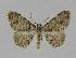  ( - BC EF Alc 00150)  @14 [ ] Copyright (2010) Unspecified Research Collection of Egbert Friedrich