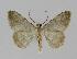  ( - BC EF Alc 00150)  @12 [ ] Copyright (2010) Unspecified Research Collection of Egbert Friedrich