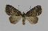  ( - BC EF Alc 00158)  @14 [ ] Copyright (2010) Unspecified Research Collection of Egbert Friedrich