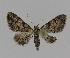 ( - BC EF Alc 00163)  @13 [ ] Copyright (2010) Unspecified Research Collection of Egbert Friedrich