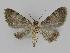  ( - BC EF Alc 00163)  @13 [ ] Copyright (2010) Unspecified Research Collection of Egbert Friedrich