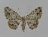  ( - BC EF Alc 00168)  @14 [ ] Copyright (2010) Unspecified Research Collection of Egbert Friedrich