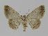  ( - BC EF Alc 00168)  @14 [ ] Copyright (2010) Unspecified Research Collection of Egbert Friedrich