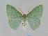  ( - BC EF Alc 00170)  @14 [ ] Copyright (2010) Unspecified Research Collection of Egbert Friedrich