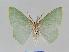  ( - BC EF Alc 00170)  @13 [ ] Copyright (2010) Unspecified Research Collection of Egbert Friedrich