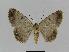  ( - BC EF Alc 00173)  @13 [ ] Copyright (2010) Unspecified Research Collection of Egbert Friedrich