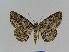  ( - BC EF Alc 00175)  @14 [ ] Copyright (2010) Unspecified Research Collection of Egbert Friedrich