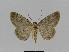  ( - BC EF Alc 00175)  @13 [ ] Copyright (2010) Unspecified Research Collection of Egbert Friedrich