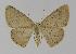  ( - BC EF Alc 00178)  @13 [ ] Copyright (2010) Unspecified Research Collection of Egbert Friedrich