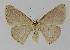  ( - BC EF Alc 00178)  @13 [ ] Copyright (2010) Unspecified Research Collection of Egbert Friedrich