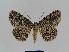  ( - BC EF Alc 00181)  @14 [ ] Copyright (2010) Unspecified Research Collection of Egbert Friedrich