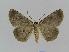  ( - BC EF Alc 00181)  @13 [ ] Copyright (2010) Unspecified Research Collection of Egbert Friedrich