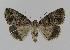  ( - BC EF Alc 00186)  @13 [ ] Copyright (2010) Unspecified Research Collection of Egbert Friedrich