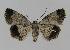  ( - BC EF Alc 00186)  @13 [ ] Copyright (2010) Unspecified Research Collection of Egbert Friedrich