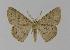  ( - BC EF Alc 00187)  @13 [ ] Copyright (2010) Unspecified Research Collection of Egbert Friedrich