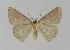  ( - BC EF Alc 00187)  @13 [ ] Copyright (2010) Unspecified Research Collection of Egbert Friedrich