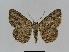  ( - BC EF Alc 00189)  @14 [ ] Copyright (2010) Unspecified Research Collection of Egbert Friedrich