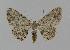  ( - BC EF Alc 00193)  @14 [ ] Copyright (2010) Unspecified Research Collection of Egbert Friedrich