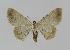  ( - BC EF Alc 00193)  @13 [ ] Copyright (2010) Unspecified Research Collection of Egbert Friedrich