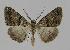  ( - BC EF Alc 00195)  @13 [ ] Copyright (2010) Unspecified Research Collection of Egbert Friedrich