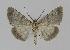 ( - BC EF Alc 00195)  @13 [ ] Copyright (2010) Unspecified Research Collection of Egbert Friedrich