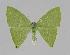  ( - BC EF Alc 00196)  @14 [ ] Copyright (2010) Unspecified Research Collection of Egbert Friedrich