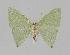  ( - BC EF Alc 00196)  @13 [ ] Copyright (2010) Unspecified Research Collection of Egbert Friedrich