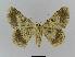  ( - BC EF Alc 00198)  @13 [ ] Copyright (2010) Unspecified Research Collection of Egbert Friedrich