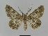  ( - BC EF Alc 00199)  @14 [ ] Copyright (2010) Unspecified Research Collection of Egbert Friedrich