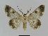  ( - BC EF Alc 00199)  @14 [ ] Copyright (2010) Unspecified Research Collection of Egbert Friedrich