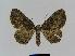  ( - BC EF Alc 00206)  @13 [ ] Copyright (2010) Unspecified Research Collection of Egbert Friedrich