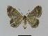  ( - BC EF Alc 00206)  @13 [ ] Copyright (2010) Unspecified Research Collection of Egbert Friedrich