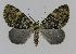  ( - BC EF Alc 00208)  @14 [ ] Copyright (2010) Unspecified Research Collection of Egbert Friedrich