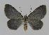  ( - BC EF Alc 00208)  @13 [ ] Copyright (2010) Unspecified Research Collection of Egbert Friedrich