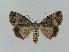  ( - BC EF Alc 00214)  @14 [ ] Copyright (2010) Unspecified Research Collection of Egbert Friedrich