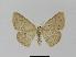 ( - BC EF Alc 00217)  @13 [ ] Copyright (2010) Unspecified Research Collection of Egbert Friedrich
