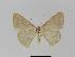  ( - BC EF Alc 00217)  @13 [ ] Copyright (2010) Unspecified Research Collection of Egbert Friedrich