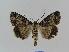  ( - BC EF Alc 00218)  @14 [ ] Copyright (2010) Unspecified Research Collection of Egbert Friedrich