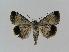  ( - BC EF Alc 00218)  @14 [ ] Copyright (2010) Unspecified Research Collection of Egbert Friedrich