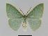  ( - BC EF Alc 00221)  @14 [ ] Copyright (2010) Unspecified Research Collection of Egbert Friedrich