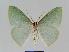  ( - BC EF Alc 00221)  @13 [ ] Copyright (2010) Unspecified Research Collection of Egbert Friedrich